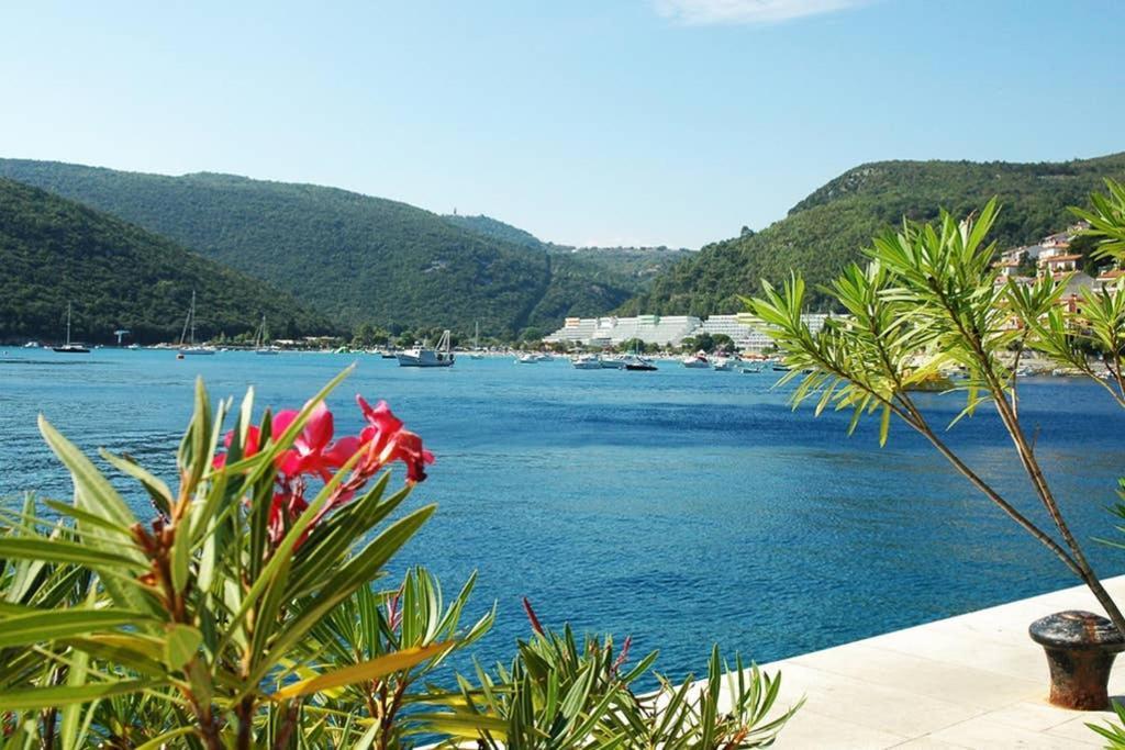 Apartment Noemi With A Direct Beach View Rabac Extérieur photo